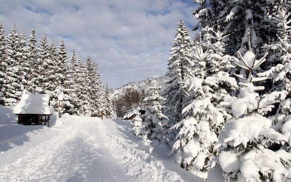 Te dane zniechęcą cię do wyjazdu w polskie góry