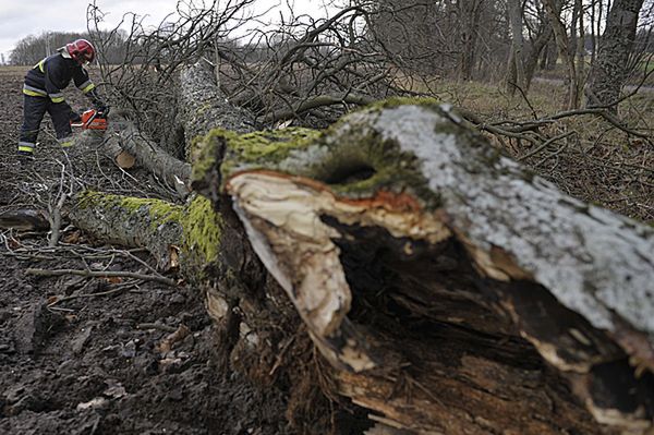 Meteorolodzy ostrzegają: będzie wiało do 100km/godz