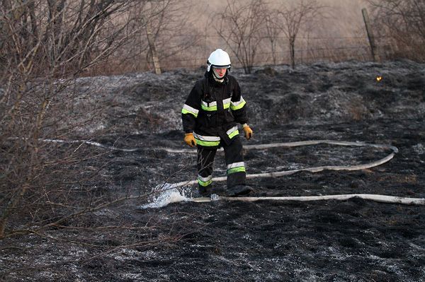 Prawie 5 tys. pożarów z powodu wypalania traw i nieużytków