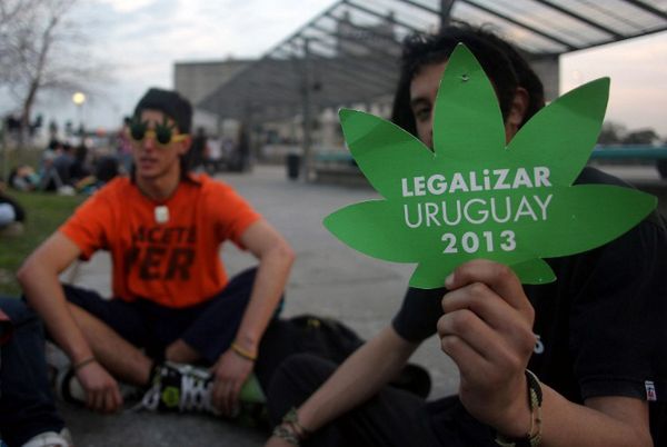 Urugwaj walczy z gangami narkotykowymi... legalizując marihuanę