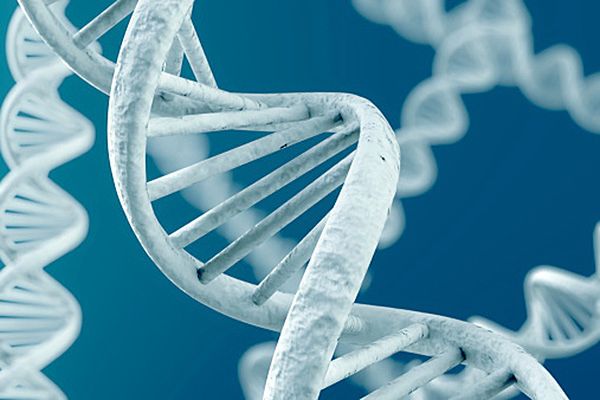 Nanoklatki z DNA dostarczą leki do organizmu