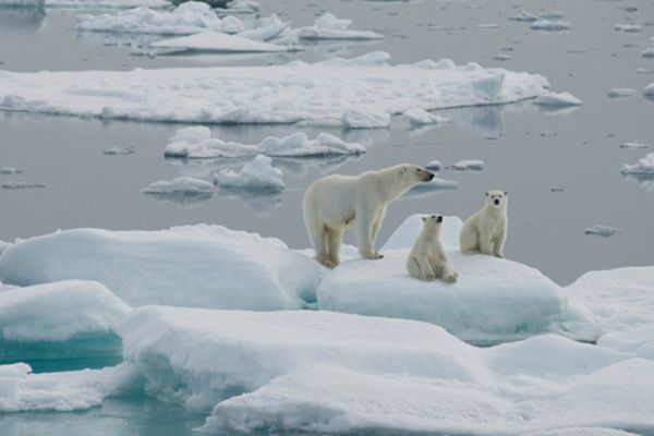 Rekord topnienia arktycznego lodu
