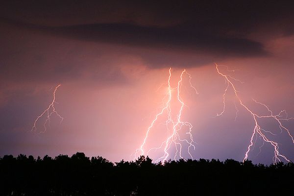 Piorun poraził uczestników pikniku w miejscowości Dabel w Niemczech