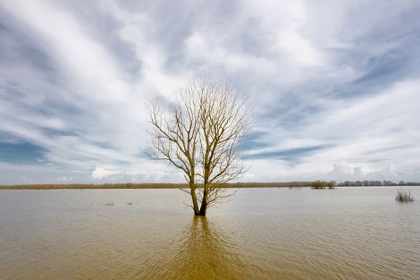 Grozi nam zatopienie? Niepokojące wyniki badań