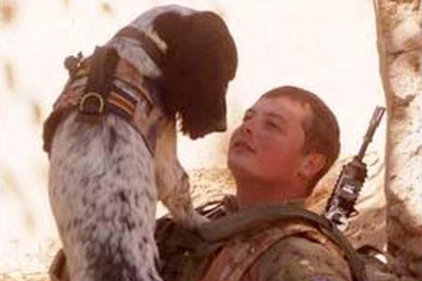 Wielka Brytania: wojskowe odznaczenie dla psa zasłużonego w Afganistanie