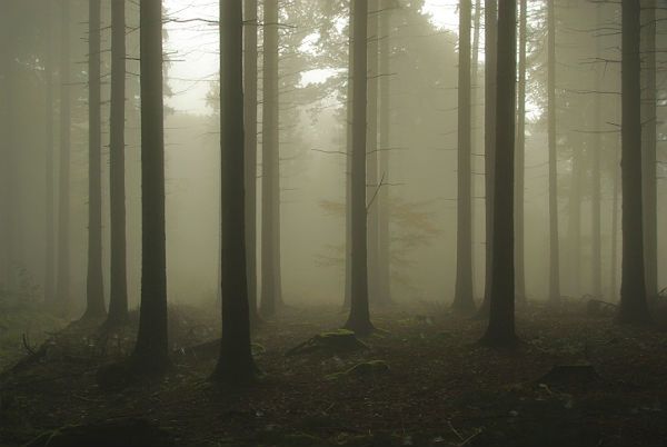 Dwie osoby zaginęły w okolicy Zawiercia