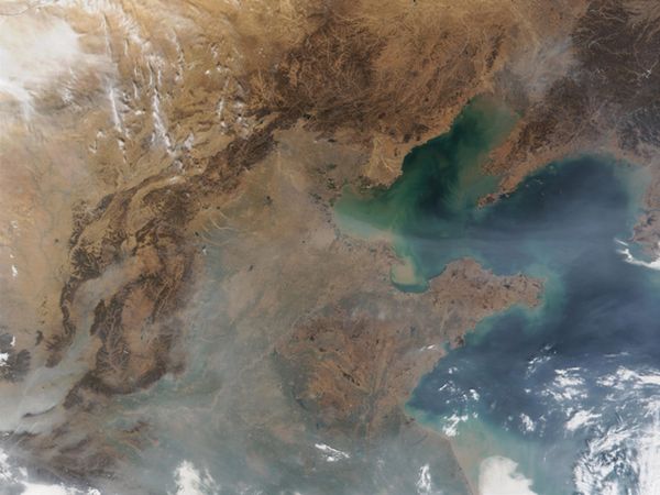Chiński ekspert ostrzega: zanieczyszczenie powietrza jest tak duże, że czernieją płuca