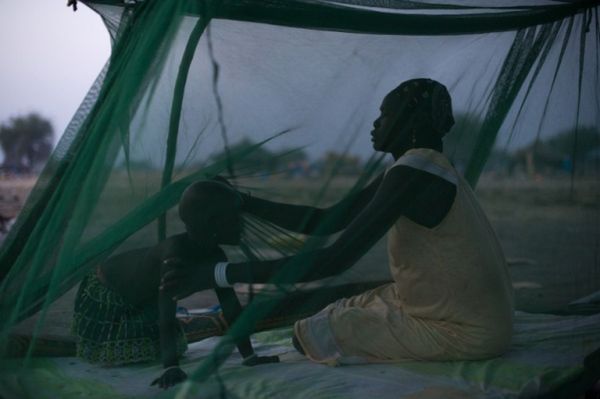 "Męski" pomysł na walkę z malarią