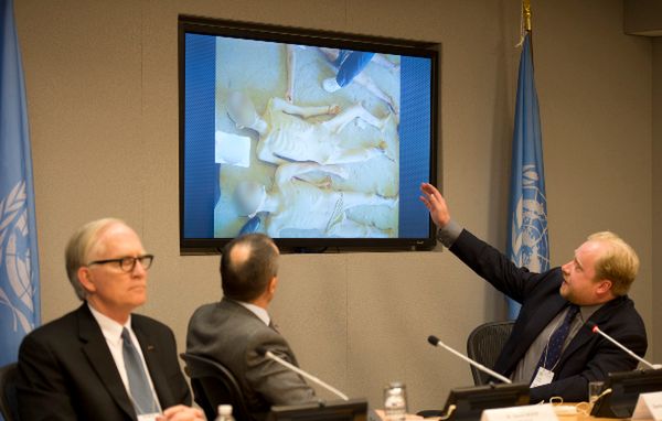 Radzie Bezpieczeństwa ONZ przedstawiono wstrząsające zdjęcia z Syrii. "Zapanowała cisza"