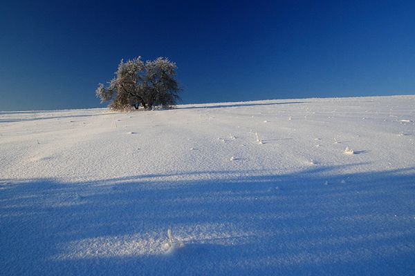 Bez śniegu będzie mniej wody w rzekach