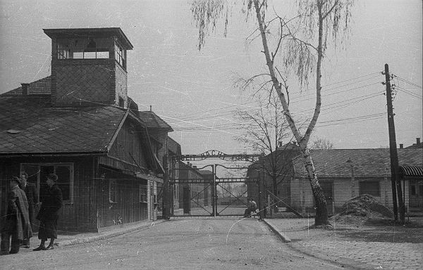 "Przeklęte Birkenau" - kontrowersyjny hymn szkoły