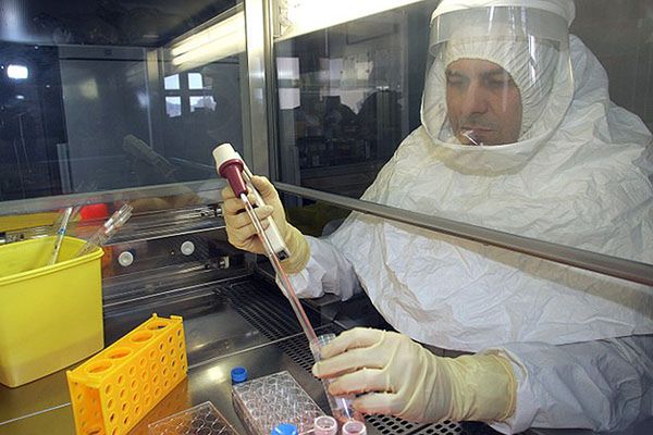 Państwowe laboratorium wysłało groźne wirusy ptasiej grypy