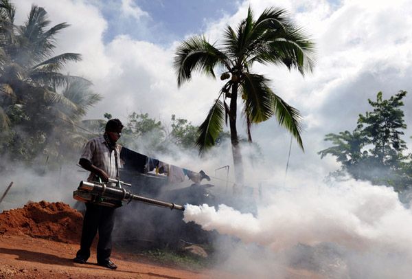 Sri Lanka: aresztowano 53 osoby, bo nie zlikwidowały siedlisk komarów