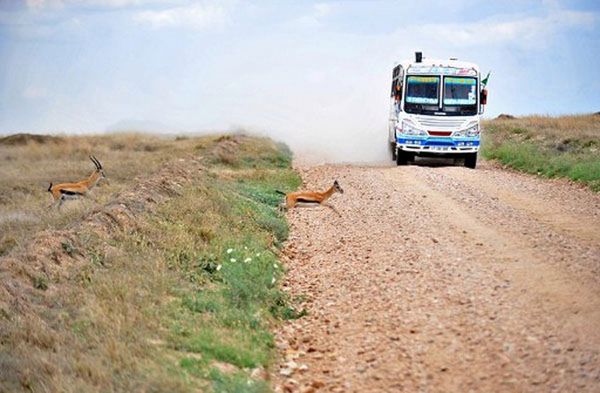 Tanzania: ponad 40 martwych ciał w ciężarówce z imigrantami