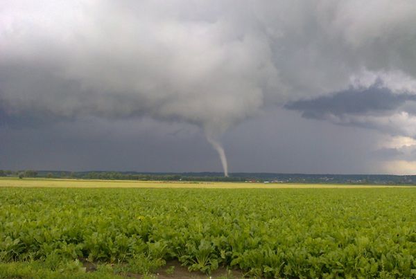 Trąby powietrzne nad Polską - zginęła jedna osoba