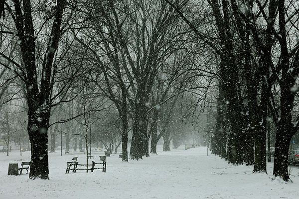 Gdzie sypnie śniegiem? Sprawdź prognozę pogody