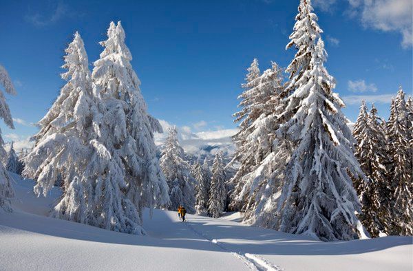 Atak zimy. W słowackich Tatrach ogłoszono stan klęski