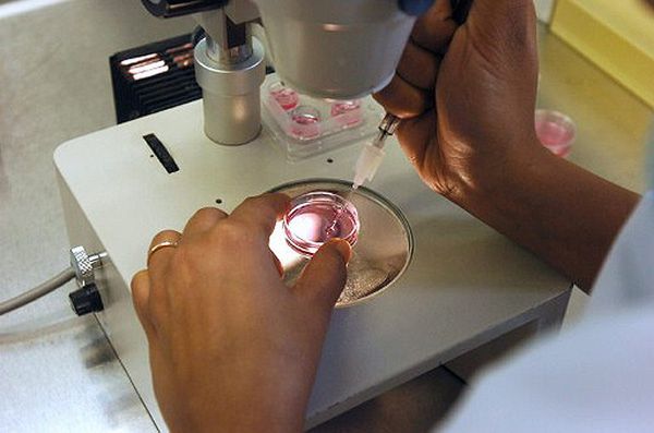 Polacy szturmują darmowe in vitro