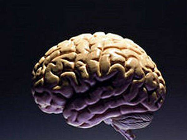 Wszczepili do mózgu elektrody. Czego się dowiedzieli?