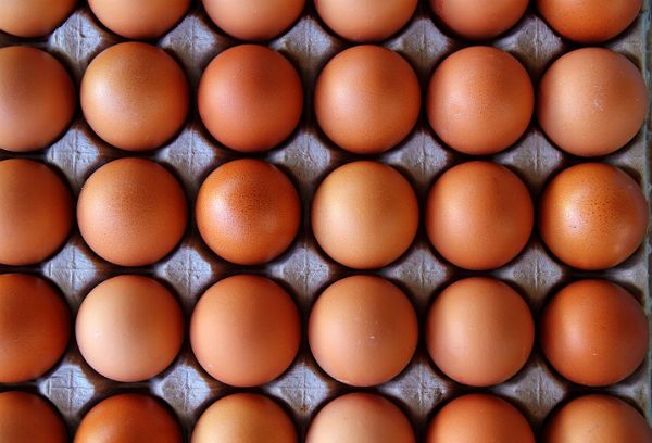 Prokuratura zbada, czy fałszowany susz jajeczny szkodził zdrowiu