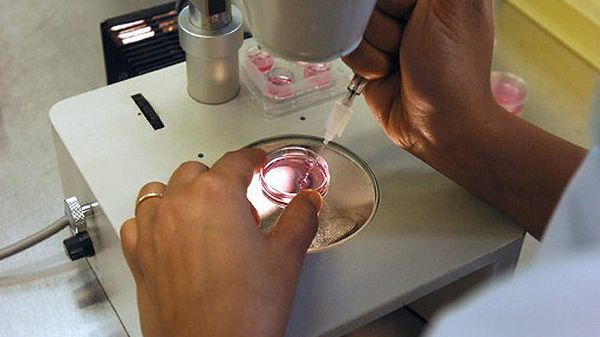 Prace nad zapłodnieniem in vitro