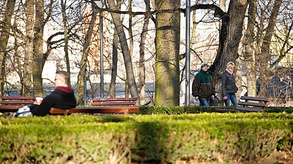 Mało zimowy grudzień w Lublinie