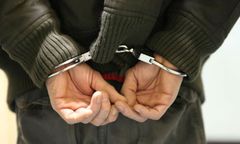 Bestialsko zamordowali psy w Kłecku. Policja zatrzymała sprawców