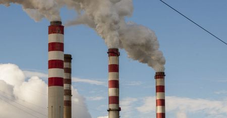 Greenpeace: resort Jana Szyszko przygotował pakiet ustaw, które grożą katastrofą. Resort: to nie jest prawda
