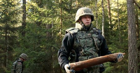 Warmińsko-Mazurskie: saperzy rozminowali las w nadleśnictwie Spychowo