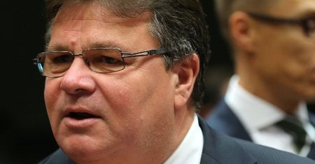 Linas Linkevicius: Nie rozdmuchujmy problemów mniejszości. To byłby duży błąd