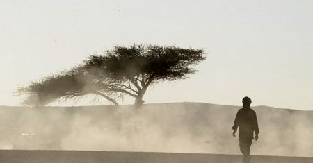 Niger: co najmniej 35 emigrantów zmarło z pragnienia na pustyni