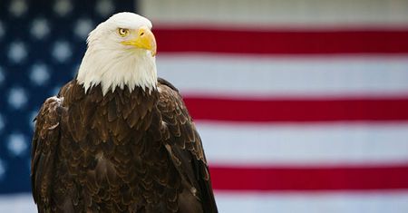 USA złagodziły sankcje, by wesprzeć syryjską opozycję