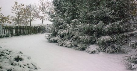 IMGW przewiduje: na śnieg jeszcze poczekamy