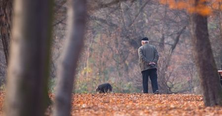 Koniec lata, rozpoczynamy marsz ku zimie