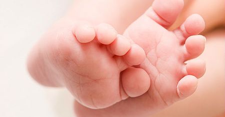 Organizował dzikie adopcje, słono cenił swoją pracę