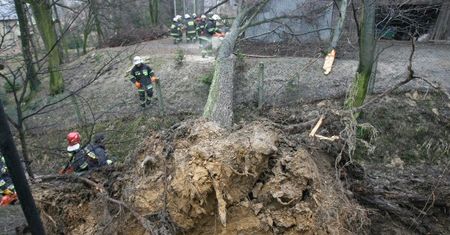 5 osób rannych, powalone drzewa, uszkodzone domy