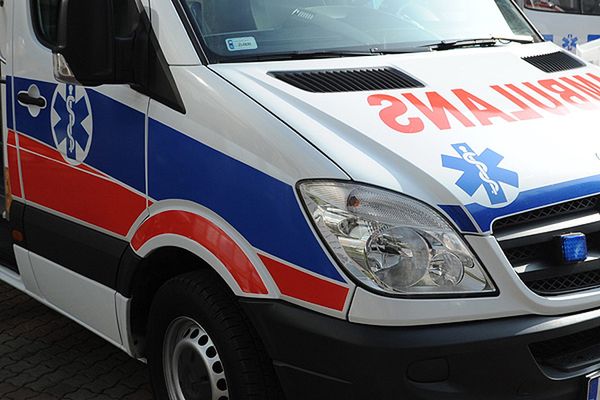 Polowanie na dziki. Ofiarą 63-letni mężczyzna
