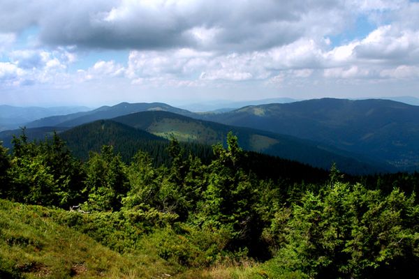 Im wyżej w Beskid, tym mniej dżdżownic