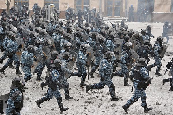 Berkut