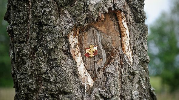 Smoleńsk, Rosja. Miejsce katastrofy prezydenckiego Tu-145M.