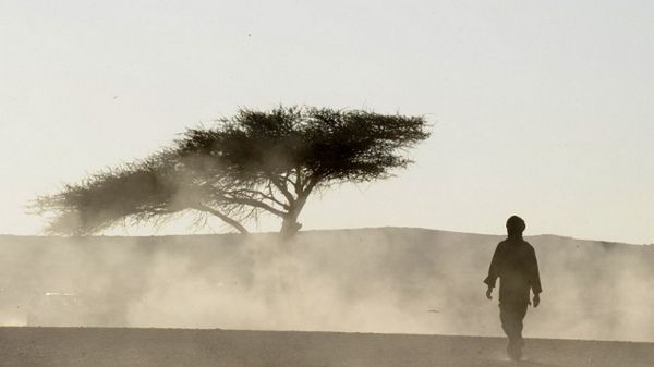 Sahara