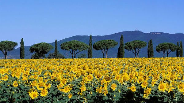 Toskania, zdjęcie autentyczne