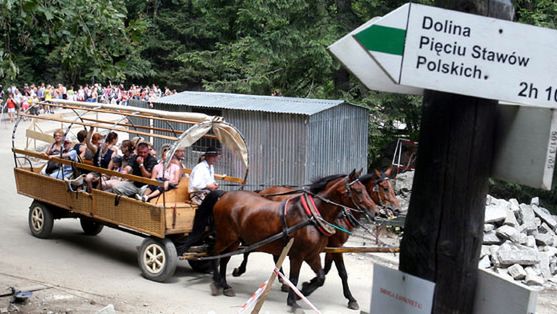 Wóz konny przewożący turystów do Morskiego Oka