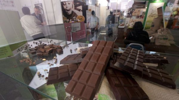 Zawarte w czekoladzie flawonoidy opóźniają proces słabnięcia zdolności umysłowych