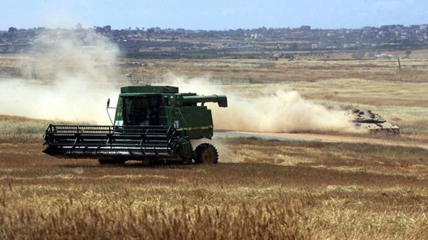 Pole uprawne w pobliżu Strefy Gazy