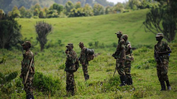 Partyzanci z ruchu M23