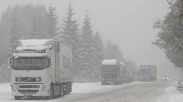 Polak pogrążył szwedzka firmę