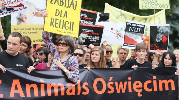 Protest przeciwko legalizacji uboju rytualnego