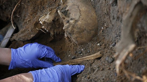 Szczątki znalezione na terenie aresztu śledczego w Białymstoku