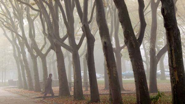 W całym kraju będą występować nad ranem i wieczorem mgły